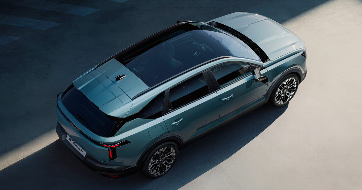 Фотография 1 Dacia Striker