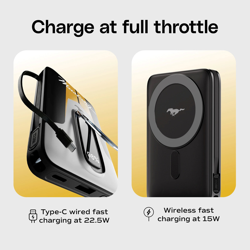 Gobolut Mustang AmpVault V10 - Збоку