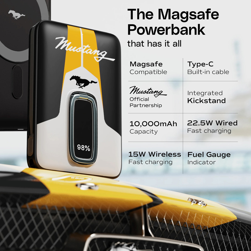 Gobolut Mustang AmpVault V10 - Деталі інтерфейсів