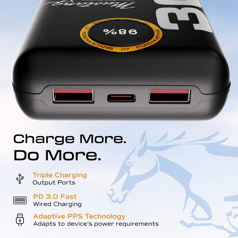 Gobolut Mustang AmpVault V20 - Збоку