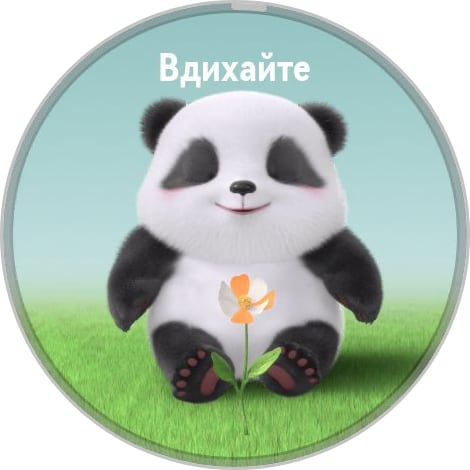 Переможець паніки: огляд смартгодинника Huawei Watch GT 6 Pro-161