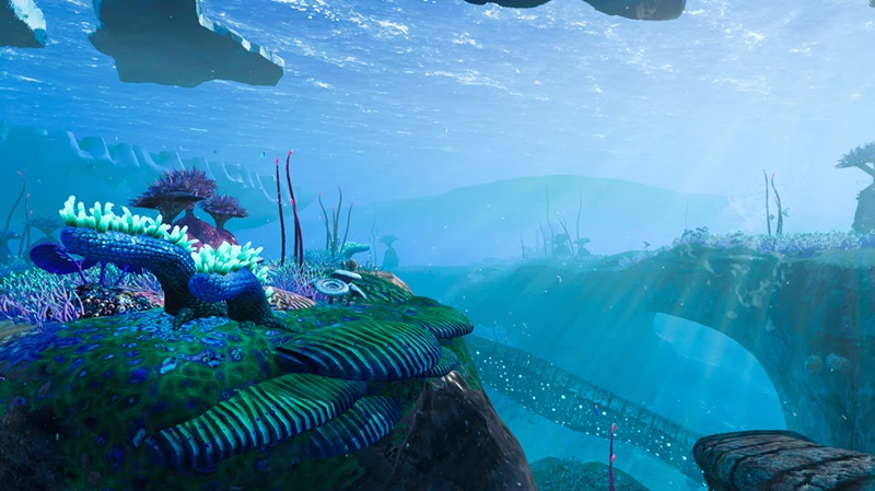 Изображение из игры Subnautica: Below Zero