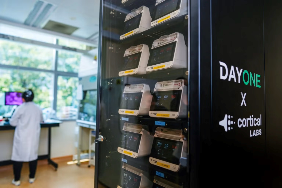 Прототип биологического вычислительного центра DayOne и Cortical Labs от NUS
