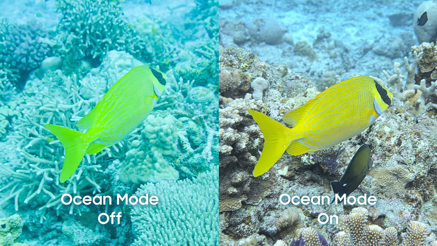 Galaxy S26 Ultra в Ocean Mode підводна зйомка