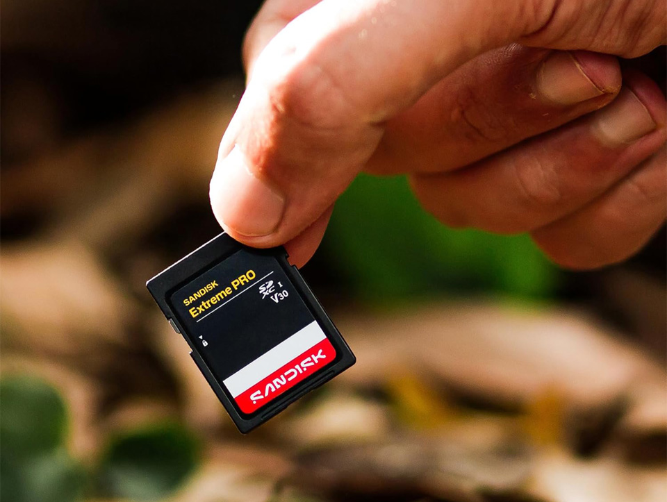 Карта пам'яті SanDisk Extreme Pro UHS-II SD 2 ТБ задня частина