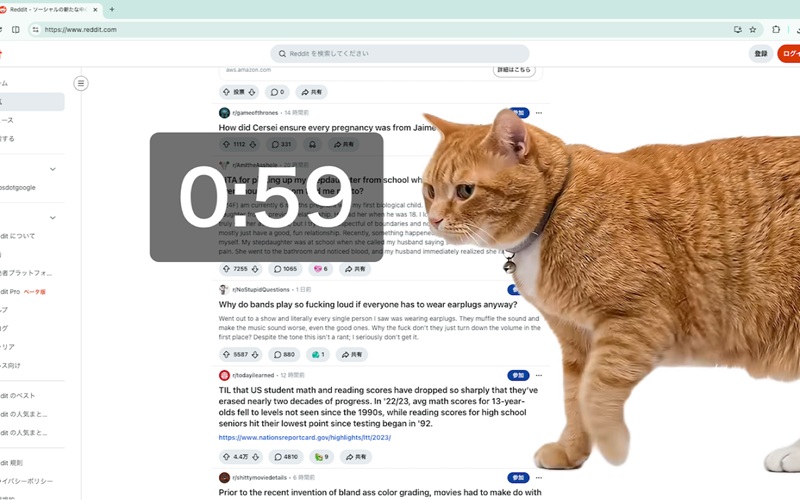Interface de paramétrage de Cat Gatekeeper dans Chrome.