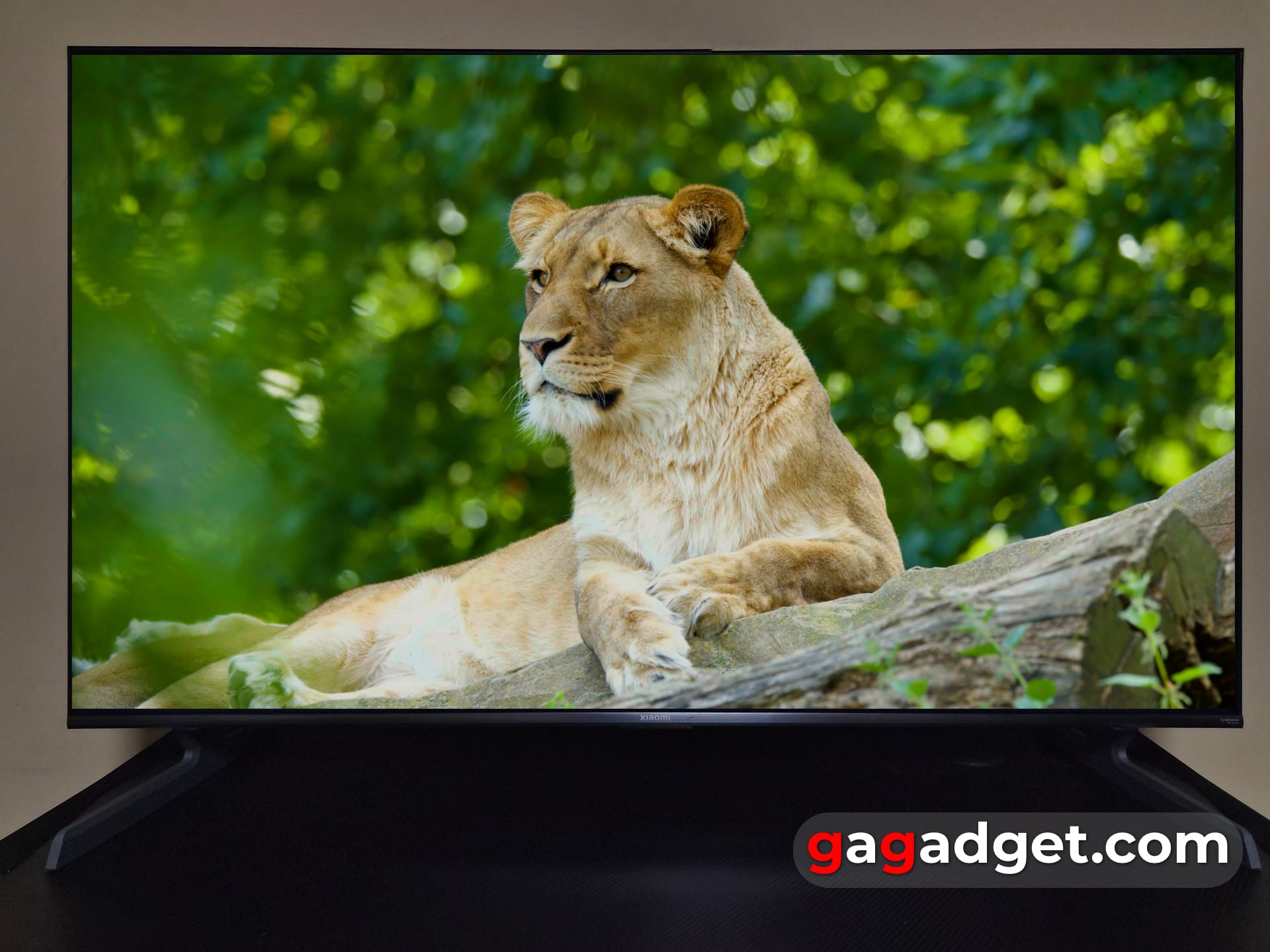 Для тих, хто знає чого хоче: огляд QLED-телевізора Xiaomi TV S Pro Mini LED 2026-40